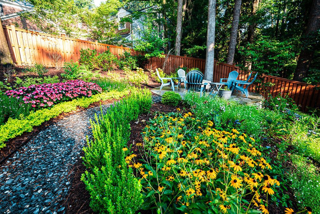 Backyard gravel path sunflowers