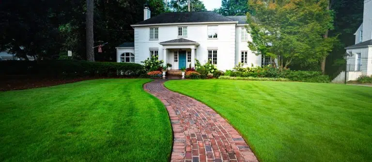 green front lawn scaled e1692808987976