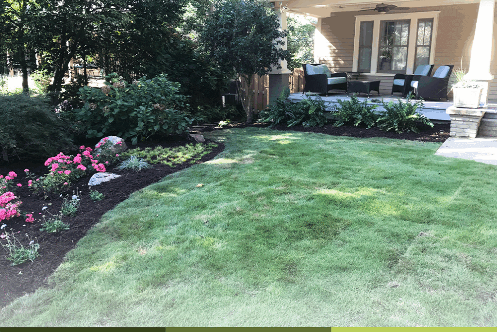 Lawn to Living